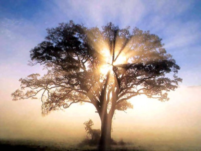 CREATOR: gd-jpeg v1.0 (using IJG JPEG v62), quality = 90 CREATOR: gd-jpeg v1.0 (using IJG JPEG v62), quality = 90